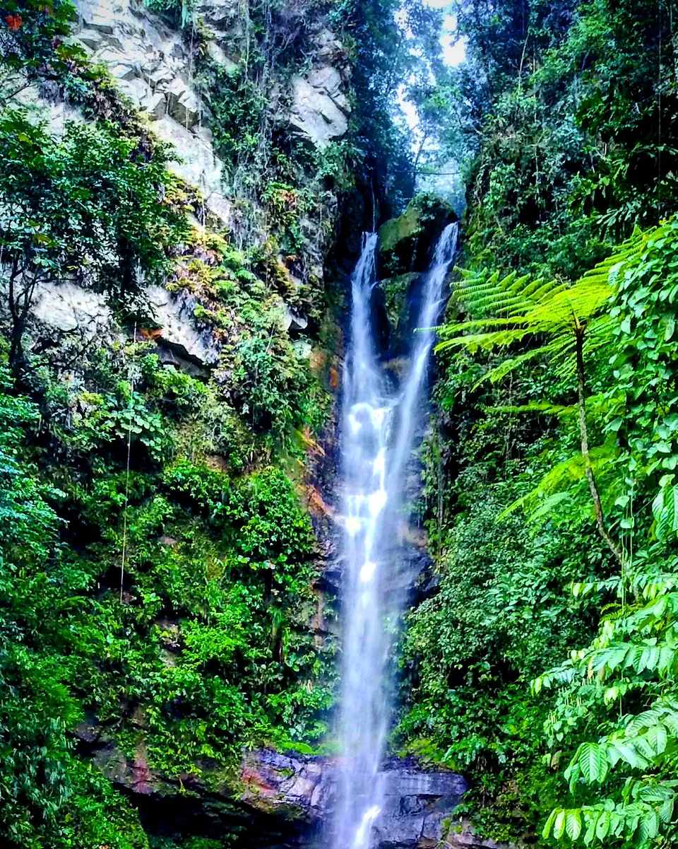 Catarata de Ahuashiyacu cayendo entre la vegetación