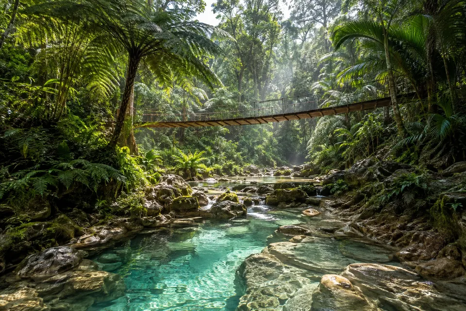 Puente colgante sobre pozas de agua clara en la selva