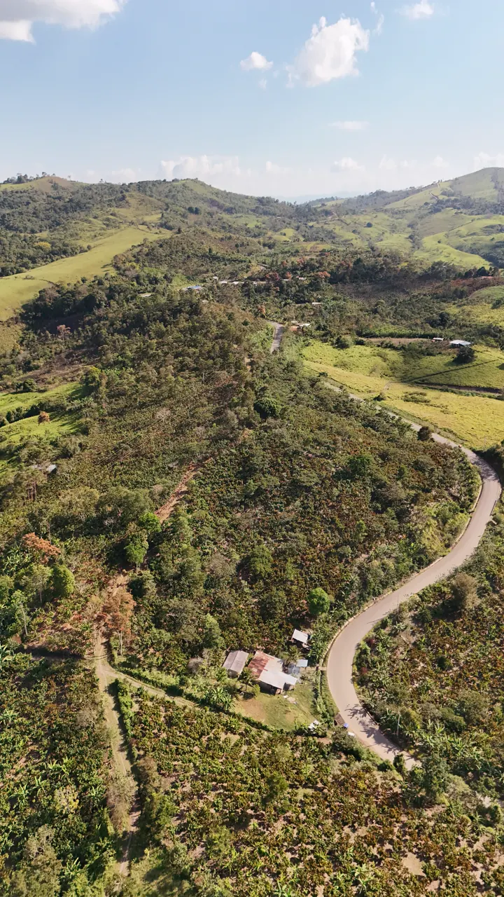 Vista aérea del camino comunal entre los cerros del terreno